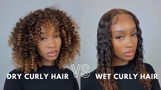 Dry Curly Hair Vs Wet Curly Hair Look? | Ombre Shag Wig Ft. Alipearl Hair