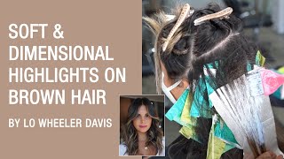 Soft & Dimensional Highlights On Brown Hair | Smokey Ashy Brunette | Kenra Color