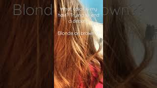 Blonde Or Brown? #Hair