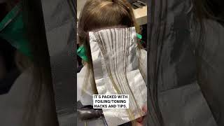 My Latest Hair Color Tutorial - Sun Kissed Blonde - Foil Highlighting And Toning Education...