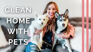 How To Manage Dog Hair In The House | [ 5 Hacks For Cleaning Up After Pets ]