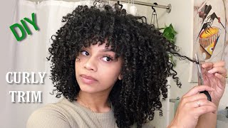 How I Trim + Shape My Curly Hair
