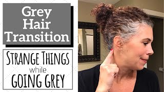 Grey Hair Transition ~ Strange Things Happening While Going Grey ~ Curly Grey Hair