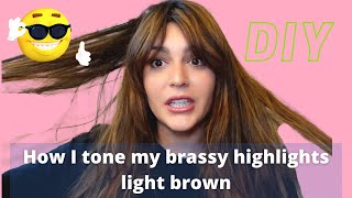 How To Tone Brassy Highlights Light Brown (Diy For Dark Brown Hair)