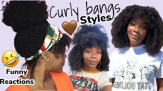 5 Days| 5 Different Styles| 20 Inches Kinky Curly Unit| Curlscurls