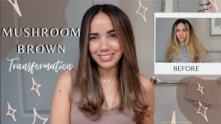 Mushroom Brown Hair Transformation Using Toner | Blonde To Ashy Brown Color | Diy Haircut & Color