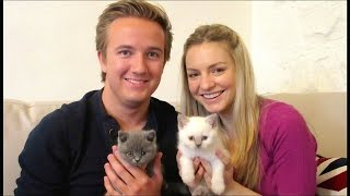 Bringing Our New Kittens Home (British Shorthair Baby Boys) | Chris & Eve