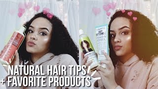 My Go-To Natural Hair Tips + Favorite Hair Products | Erin Nicole
