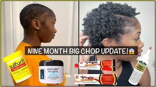 How I Apply Doo Gro For Max Growth  9 Month Big Chop W/ Pics| Doo Gro+Wild Growth +Hair Fertilizer