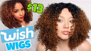 I Bought Cheap Wigs From The Wish App!