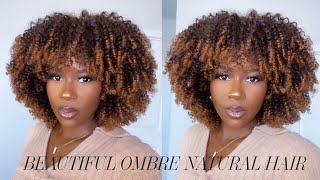My Natural Hair Girls Need This!! The Most Realistic Afro Curly Natural Hair Wig Ever!!|Alipearl