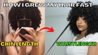 How I Grew My Natural Curly Hair Fast | Extreme Hair Growth