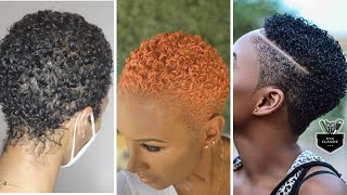 Short Curly Natural Pixie Hair Cuts  For Charming Black Ladies | Wendy Styles