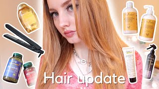 Hair Update | Products, Haircare, Routine, Styling.