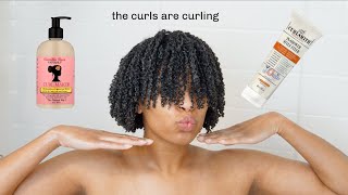 Wash And Go | Camille Rose Curl Maker And Curlsmith In Shower Style Fixer
