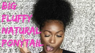 How I Get My Big Curly Natural Ponytail | Alanna Foxx