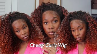 $40 Curly Wig?! | *New* Outre Dominica 16" | Taylor Loraine