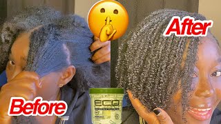 Wash And Go|How To Get Natural Hair To Curly|Define 4C Curls With Ecostyler|Step By Step Tutorial
