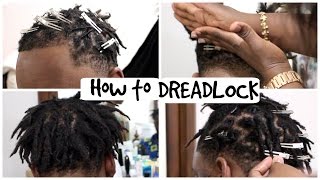 How To Dread Hair | Short Dreadlocks | Cindy Sandjo