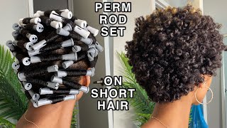 Perm Rod Set On Short Natural Hair | First Rod Set On My Big Chopped Hair