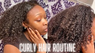 Curly Hair Routine On Kinky & Coily Natural Hair | Lala Mitchell