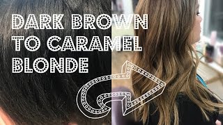Dark Brown To Caramel Blonde | Pravana Color Remover