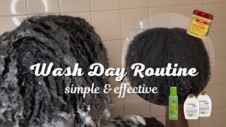2023 Simple Wash Day Routine For Type 4 Natural Hair