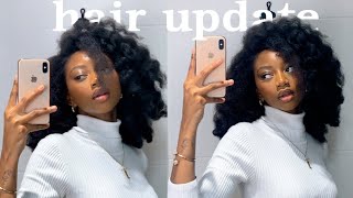 Attempting To Silk Press My 4B/4C Hair For The First Time || **Epic Fail