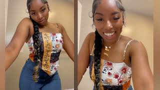 Protective Style Braided Ponytail With Highlights Under $5  W/ Tips And Tricks