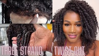 Omg  I Can'T Believe This, 1 Year Update,Kinky Edges Wig,Three Strand Twist Out Wow | Hergivenh