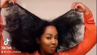 Sleek Afro Ponytail Using Shea Moisture