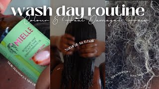 Wash Day Routine | Natural 4 A/B/C Colour & Heat Damaged Hair | Ammeliamae