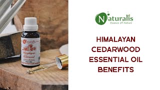 Naturalis Essence Of Nature Himalayan Cedarwood Essential Oil For Skin, Hair And Aromatherapy