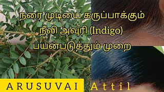 Neeli Avuri Natural Hair Dye/Niili Avuri/Indigo Plant Organic Hair Dye Tamil/How To Use Neeli Avuri