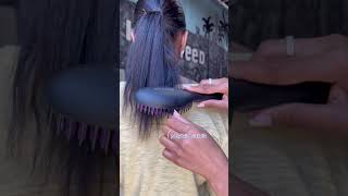 Ponytail Quick Fix With Straight Up Max