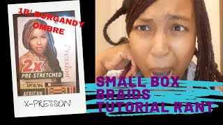 First Time Small Box Braids | X-Pression Kanekalon Braiding Hair..With A Newborn
