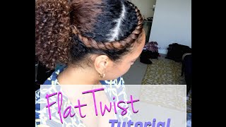 Flat Twist Tutorial!! - Front Flat Twist With Curly Ponytail Style!!