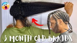 3 Month Old Braids Takedown | How To Safely Detangle For Length Retention & No Breakage