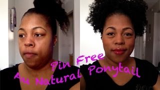 Pin Free Au Natural High Ponytail With Home Made Clip Ins