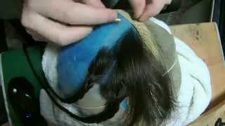Human Hair Wig Time Lapse 150X Speed
