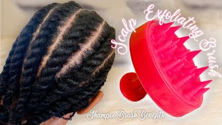 Scalp Shampoo Brush Review | How To Take Care Of Your Scalp For Hair Growth | Tsholo Phoka
