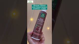 My Oiling Routine #Shortsvideo #Trending #Haircare #Haircareroutine#Thepurestnatural