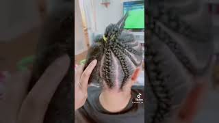 Clip On Braided Ponytail.