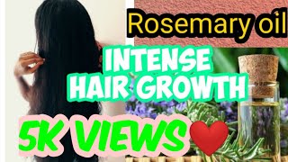 Rosemary Oil For Hair Growth | How To Use Rosemary Essential Oil For Hair In Tamil