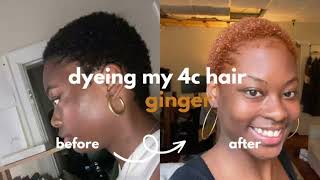 Bleaching And Dying My Type 4C Hair Ginger | Gabby Alexis