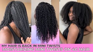 How I Moisturize My Mini Twists On 4C Hair, 168 Twists