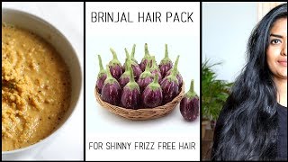Brinjal ( Egg Plant )  Hair Pack For Shinny & Frizz Free Hair || #100Dayswithsowbii Day10