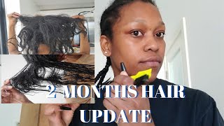 Finally Giving A Update On The Progress Of My Hair After Mielle Organic Damaged My Hair