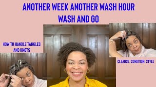 32. Wash And Go-How To Deal With Tangles-30 Day Hair Detox-No Raw Oils Or Butters-4C Hair