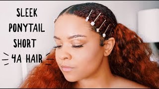 Sleek Low Double Ponytail W/ Big Chop Hair | 4A Natural Hair